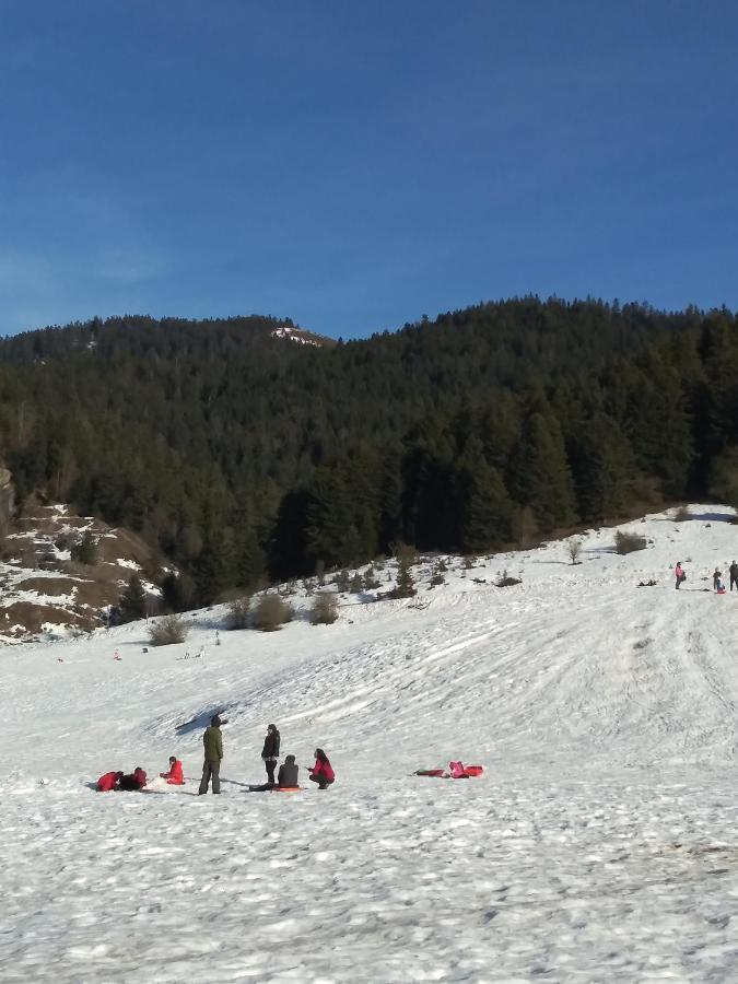 Gite Cosy Lac De Payolle カンパン エクステリア 写真
