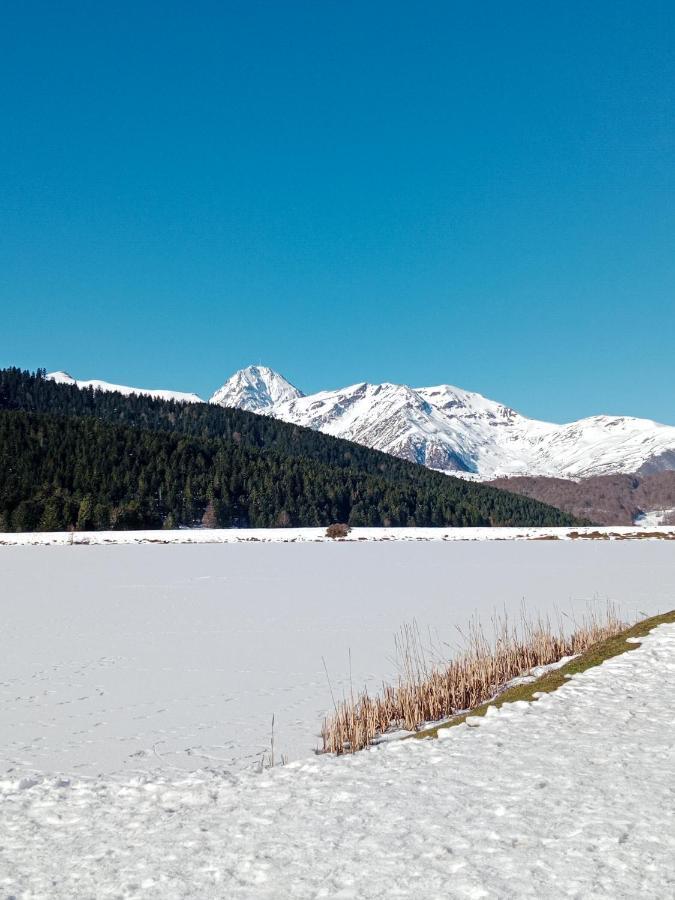 Gite Cosy Lac De Payolle カンパン エクステリア 写真