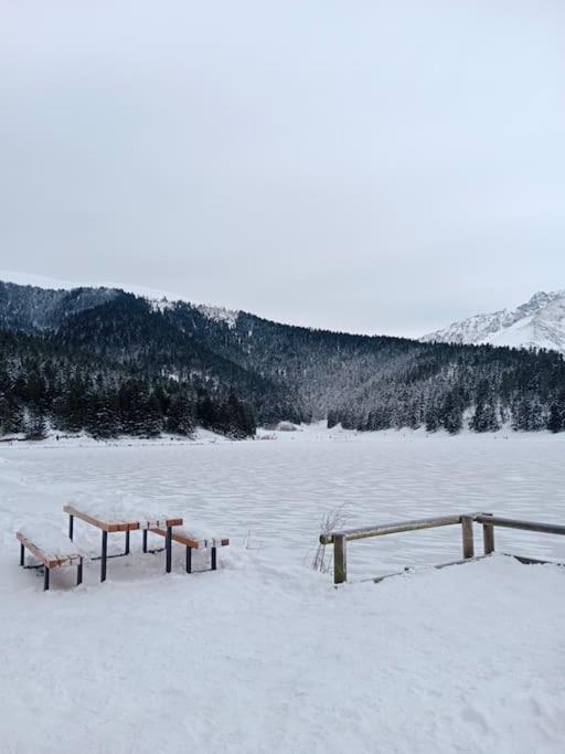 Gite Cosy Lac De Payolle カンパン エクステリア 写真