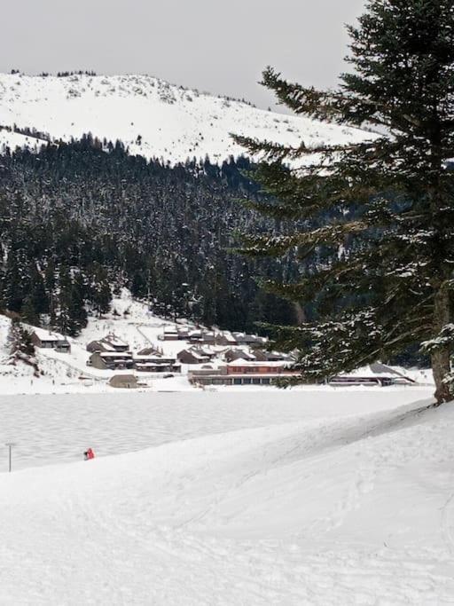 Gite Cosy Lac De Payolle カンパン エクステリア 写真